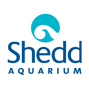 Shedd Aquarium Program. 